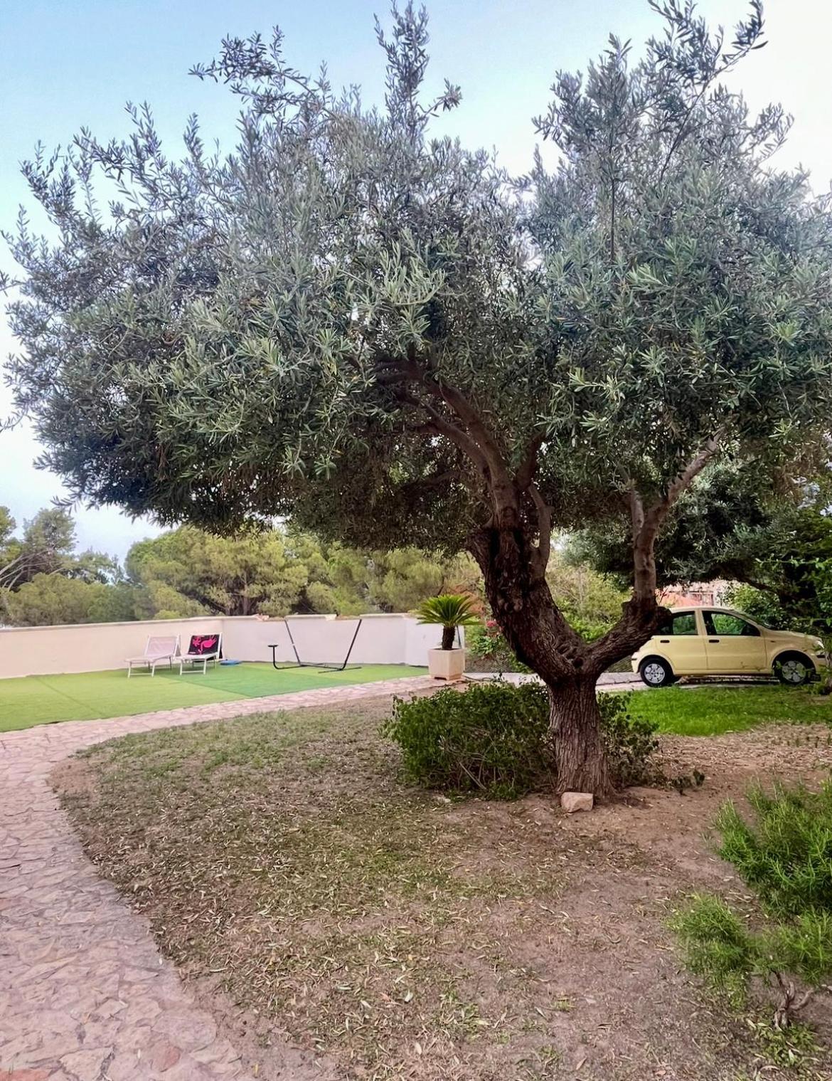 Villa Vittoria Solanas  Bagian luar foto